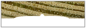 Crown Bead Breakout