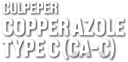 CAC-Culpeper--Logo-176-Dropshadow