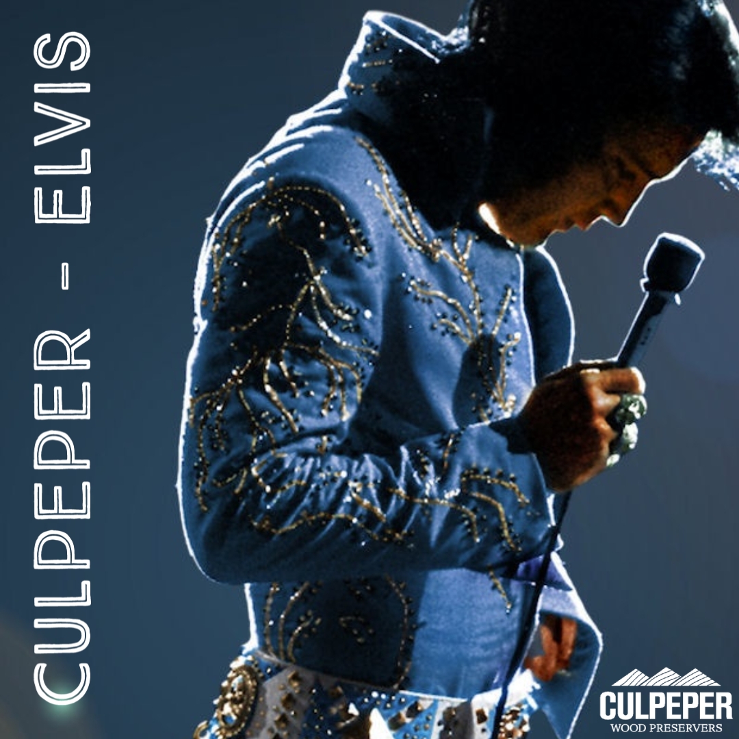 Culpeper - Elvis