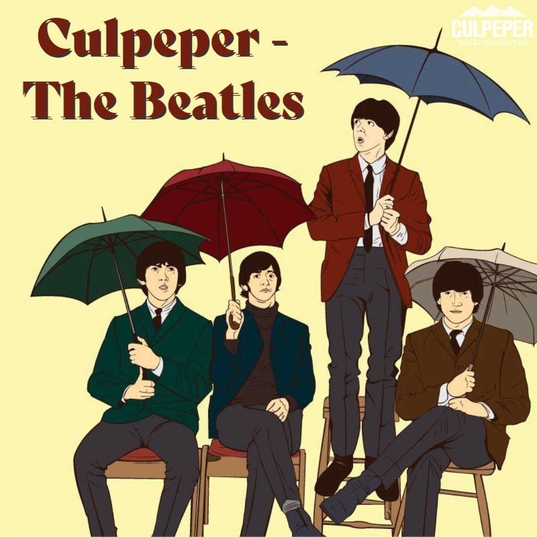 Culpeper - The Beatles