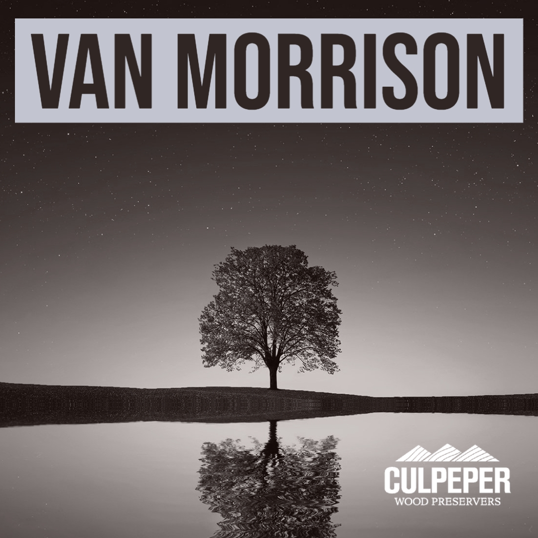 Culpeper Van Morrison