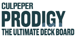 PRODIGY-TAGLINE-Logo-Blue-250x120-1 (1)